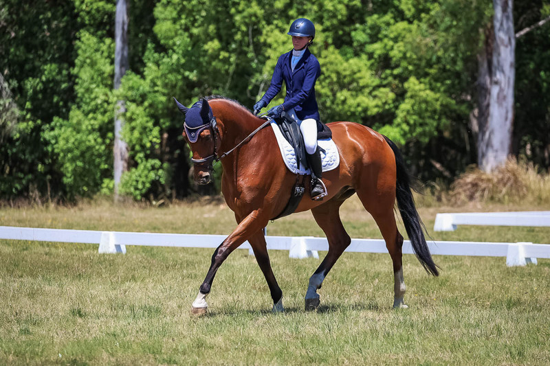tEG 3DE 2025 Friday Dressage -1984.jpg