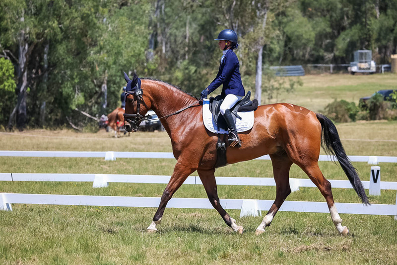 tEG 3DE 2025 Friday Dressage -1987.jpg