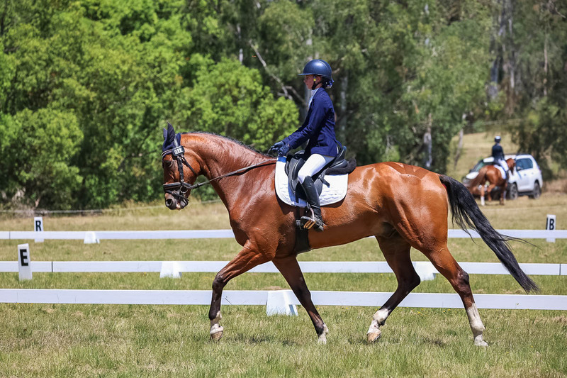 tEG 3DE 2025 Friday Dressage -1988.jpg