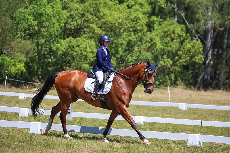 tEG 3DE 2025 Friday Dressage -1990.jpg