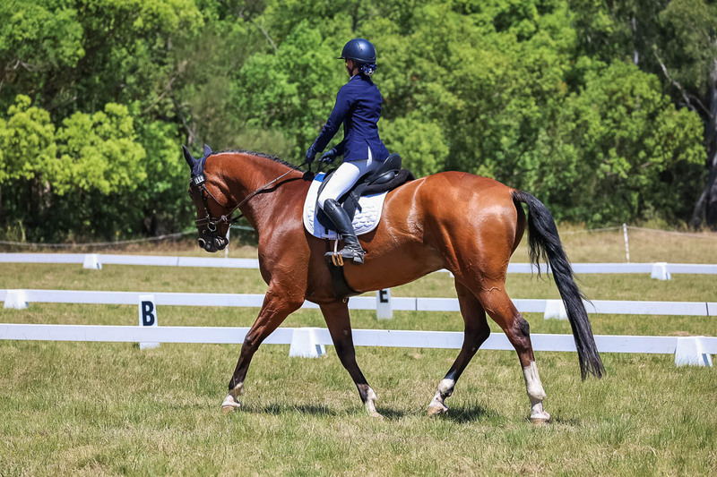 tEG 3DE 2025 Friday Dressage -1991.jpg