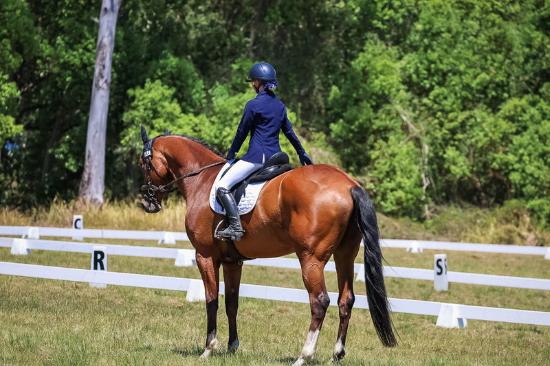 tEG 3DE 2025 Friday Dressage -1992.jpg