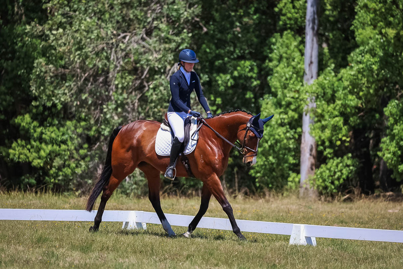 tEG 3DE 2025 Friday Dressage -1997.jpg