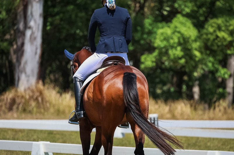 tEG 3DE 2025 Friday Dressage -2000.jpg