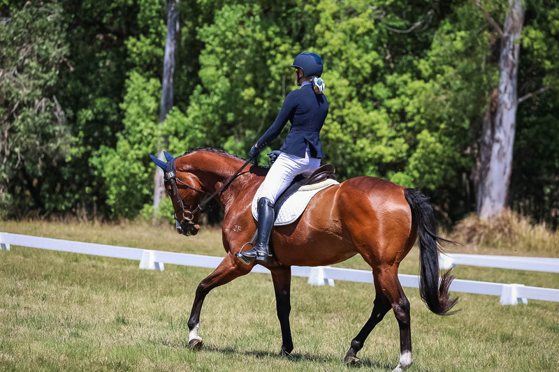tEG 3DE 2025 Friday Dressage -2013.jpg