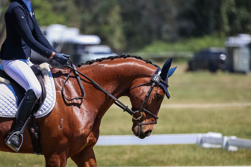 tEG 3DE 2025 Friday Dressage -2018.jpg