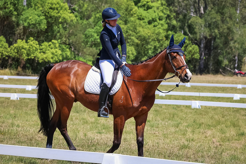 tEG 3DE 2025 Friday Dressage -2026.jpg