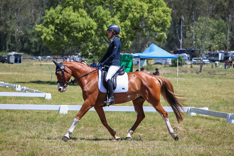 tEG 3DE 2025 Friday Dressage -2027.jpg