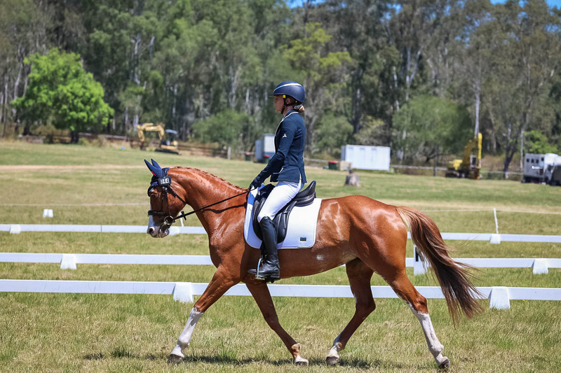 tEG 3DE 2025 Friday Dressage -2028.jpg