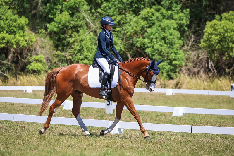 tEG 3DE 2025 Friday Dressage -2032.jpg