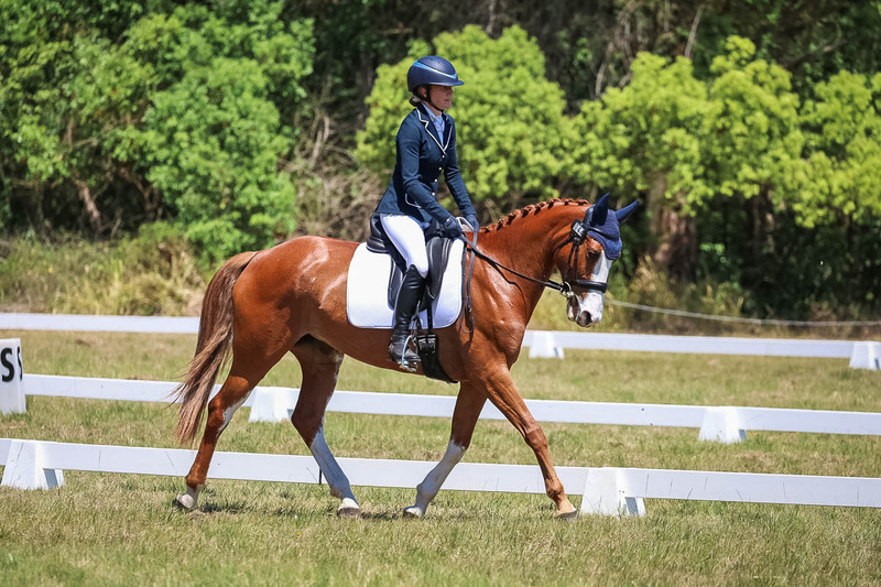 tEG 3DE 2025 Friday Dressage -2033.jpg