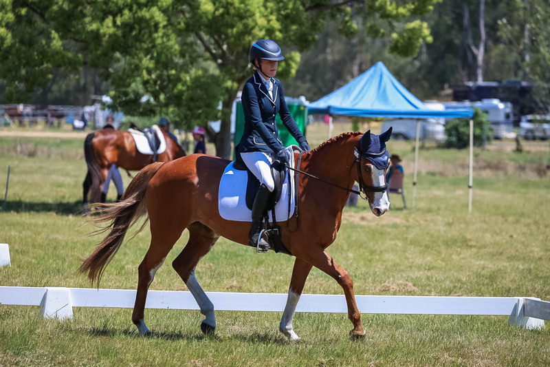 tEG 3DE 2025 Friday Dressage -2035.jpg