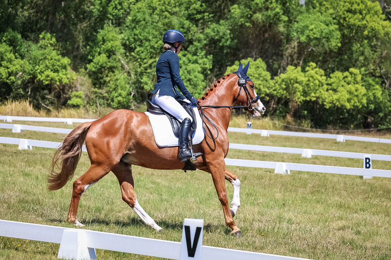 tEG 3DE 2025 Friday Dressage -2038.jpg