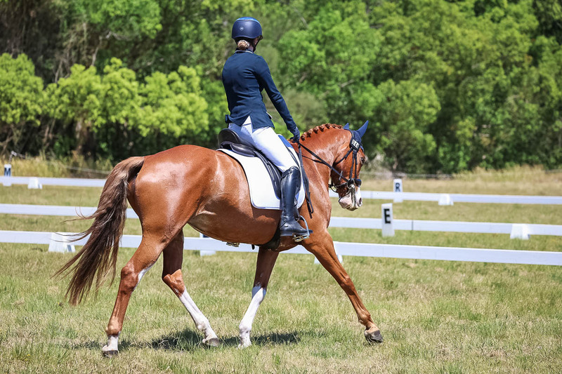 tEG 3DE 2025 Friday Dressage -2043.jpg