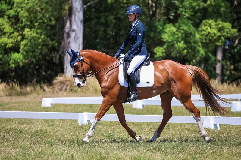 tEG 3DE 2025 Friday Dressage -2044.jpg