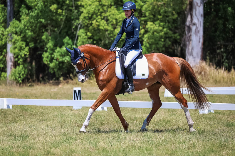 tEG 3DE 2025 Friday Dressage -2045.jpg