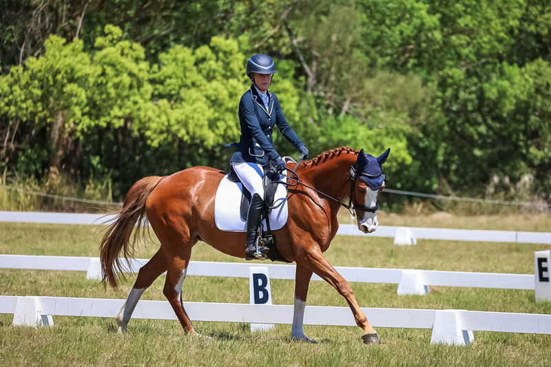 tEG 3DE 2025 Friday Dressage -2049.jpg