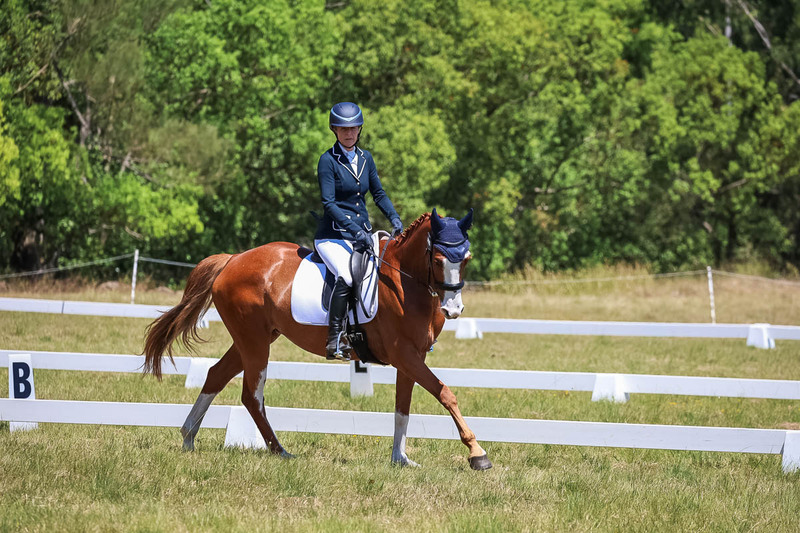 tEG 3DE 2025 Friday Dressage -2050.jpg