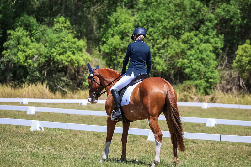 tEG 3DE 2025 Friday Dressage -2052.jpg
