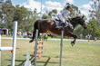 Day 2 SREC SJ Spectacular 110-115-5307.jpg