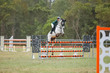 Day 2 SREC SJ Spectacular 125-7477.jpg