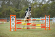 Day 2 SREC SJ Spectacular 125-7480.jpg