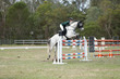 Day 2 SREC SJ Spectacular 135-8234.jpg