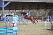 Day 2 SREC SJ Spectacular 75-5525.jpg