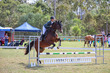 Day 2 SREC SJ Spectacular 75-5526.jpg
