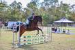 Day 2 SREC SJ Spectacular 75-5527.jpg