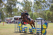 Day 2 SREC SJ Spectacular 85-6031.jpg