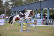Day 3 SREC SJ Spectacular 100-8415.jpg