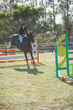 Day 3 SREC SJ Spectacular 105-8523.jpg