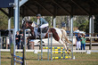 Day 3 SREC SJ Spectacular 70-80-7145.jpg