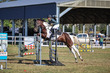 Day 3 SREC SJ Spectacular 70-80-7149.jpg