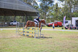 Day 3 SREC SJ Spectacular 90 JO-8307.jpg