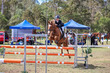 Day 3 SREC SJ Spectacular 90 JO-8310.jpg