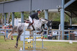 Day 3 SREC SJ Spectacular 90-7900.jpg