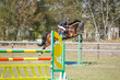 Day 3 SREC SJ Spectacular Childrens Championship-0082.jpg