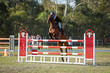 Day 3 SREC SJ Spectacular Grand Prix-0433.jpg