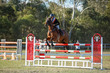 Day 3 SREC SJ Spectacular Grand Prix-0434.jpg