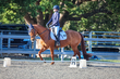 FTP ODE September 2026 Dressage -1830.jpg