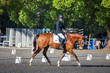 FTP ODE September 2026 Dressage -1831.jpg