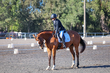 FTP ODE September 2026 Dressage -1832.jpg