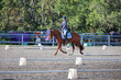 FTP ODE September 2026 Dressage -1833.jpg