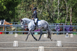 FTP ODE September 2026 Dressage -2245.jpg