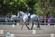 FTP ODE September 2026 Dressage -2246.jpg