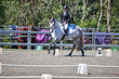 FTP ODE September 2026 Dressage -2247.jpg