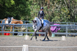 FTP ODE September 2026 Dressage -2248.jpg