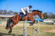 Laidley Show  2025 10 JO-5322.jpg